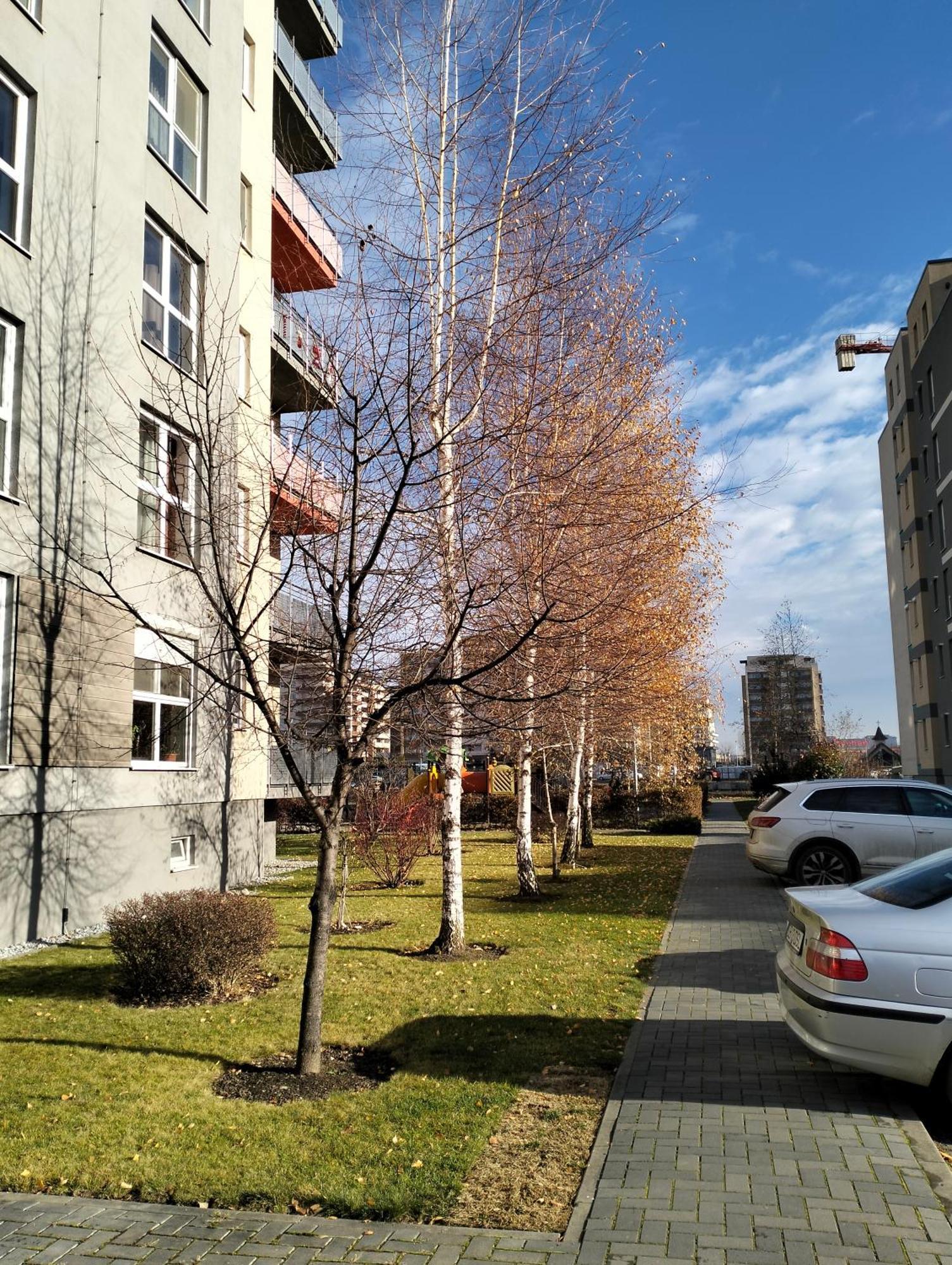 M&I Dream Stay Brașov Exterior foto